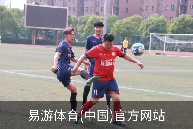 易游体育(中国)官方网站公司简介